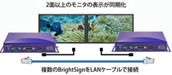 BrightSign XDシリーズ | ジャパンマテリアル