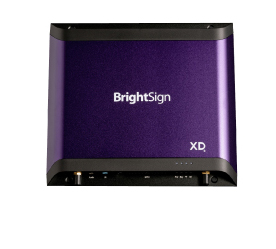 BrightSign XD236
